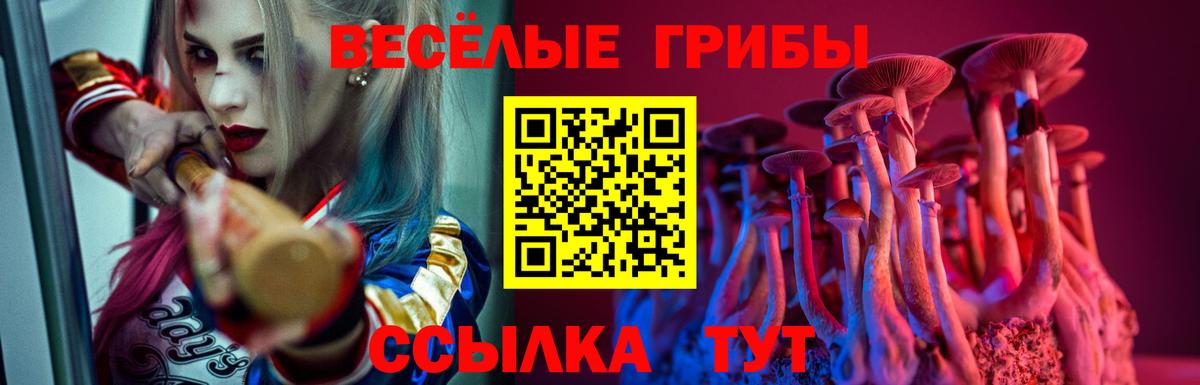 Псилоцибиновые грибы Magic Shrooms Киров